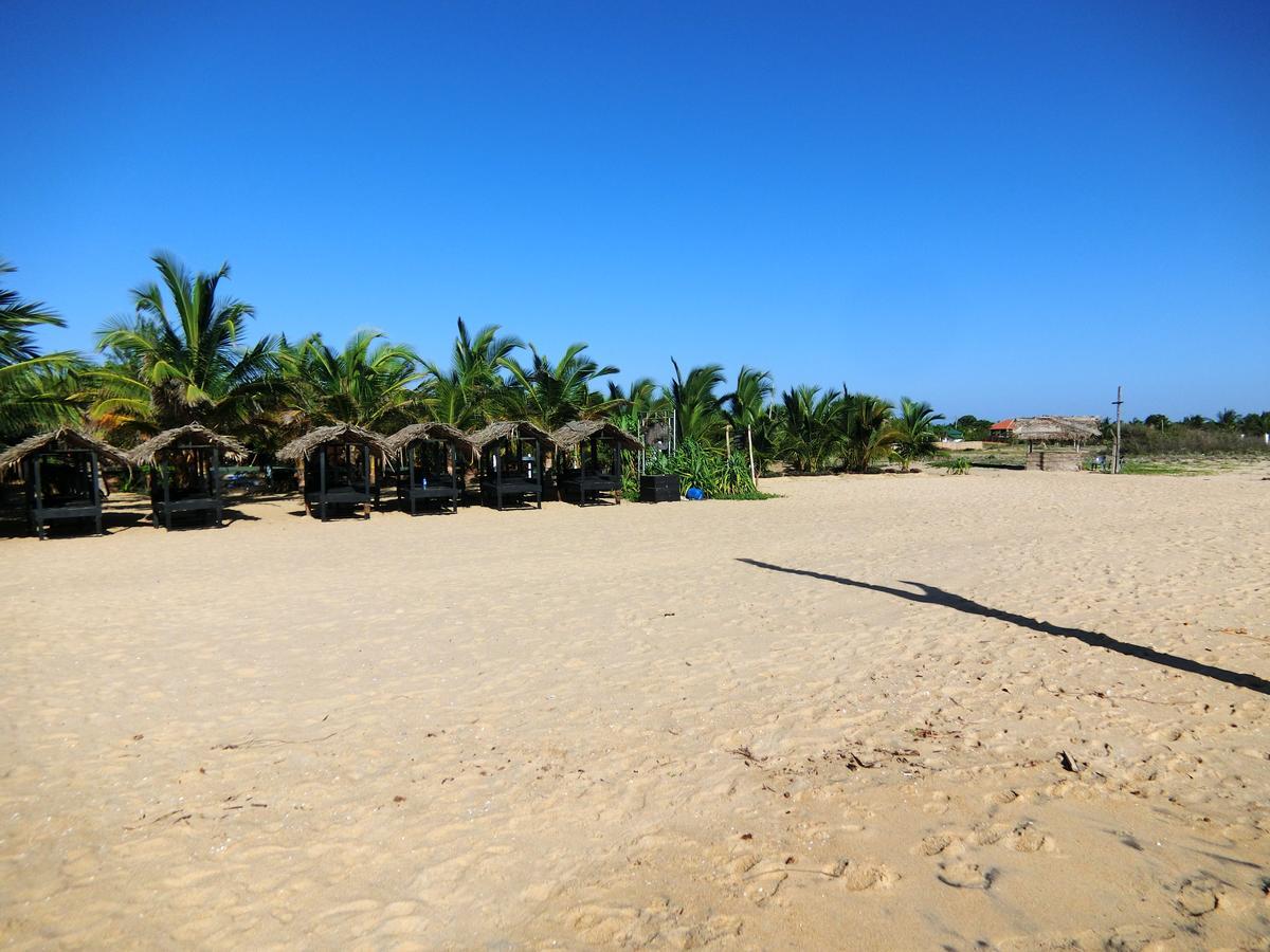 The Tasty Tuna Cabana Arugam Bay Exterior foto